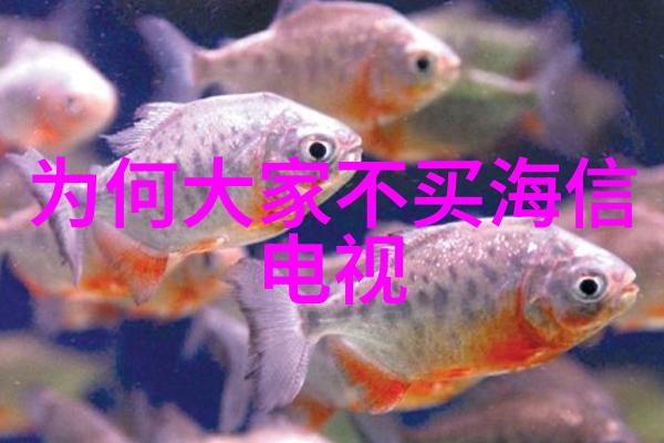 视频制作必备工具箱从镜头到编辑软件一站式解决方案