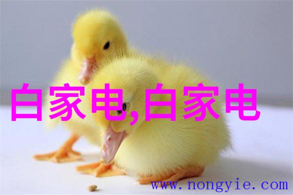 探索无限可能高性能汽车新车型首次曝光