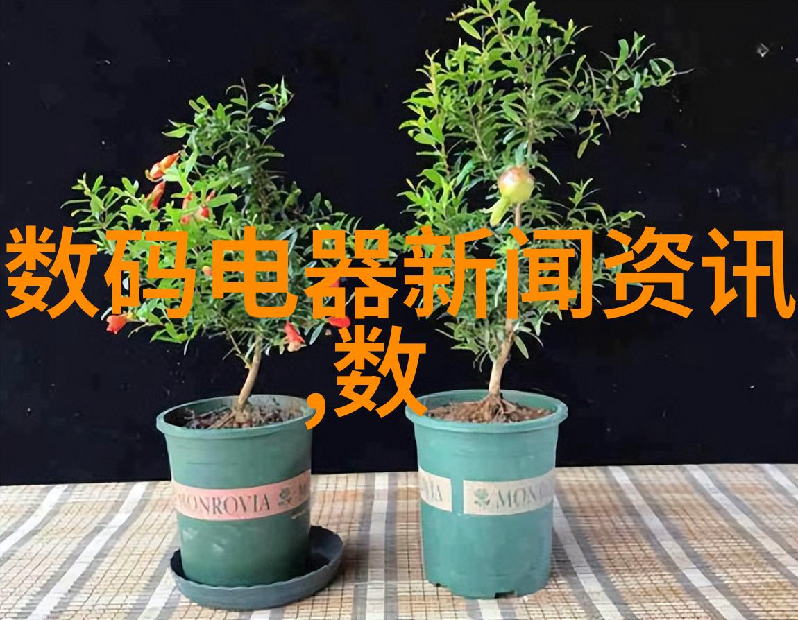 西安财经大学研究生院从数码货币到数字生活学术不端的前沿探索基地