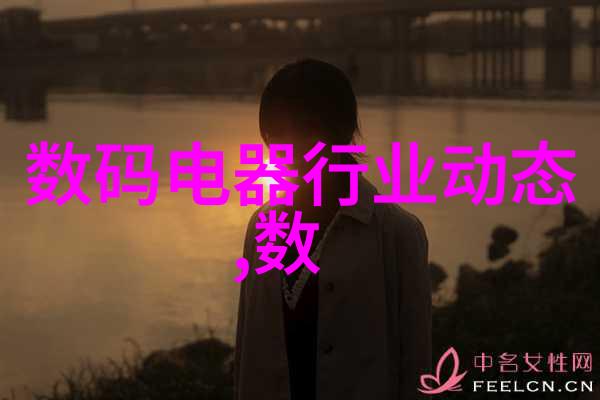 ldb70脉冲袋式除尘器高效清洁解决方案的创新之选