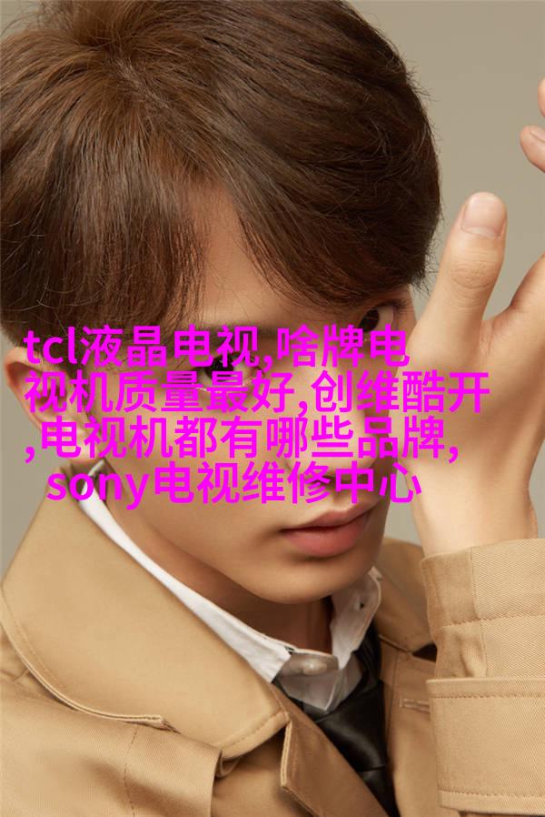 安吉丽娜·朱莉与布拉德·皮特在法国结婚