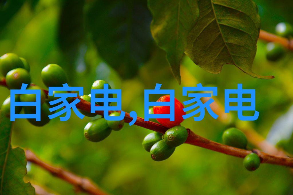 化工之基碳氢与氧的故事