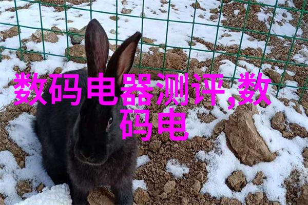 我的智能助手如何让ai智能识别变得不再神秘