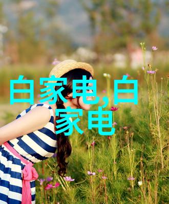 SCR反应器结构示意图解析了解脱氧铬催化剂的工作原理与设计要素