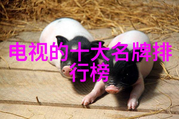 小天鹅洗衣机我是如何用它来解决家里的衣服问题的