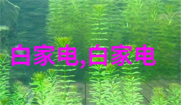 不锈钢材料在手工艺创意中的应用研究创新技术与艺术表达的结合