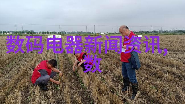 铸铁的坚韧与艺术从古代到现代的一路走来