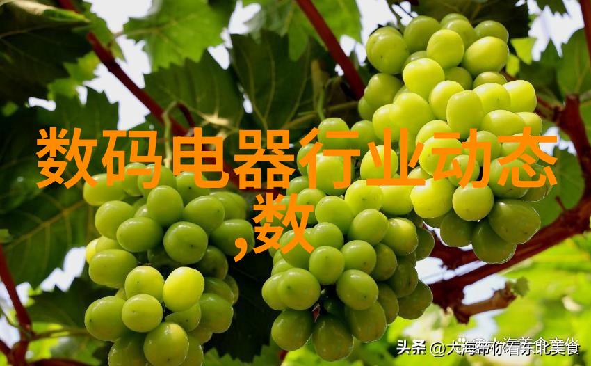 化工新时代下的传统医学革新炮制技艺的现代化探索