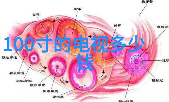 未来之光科技画的幻想与现实