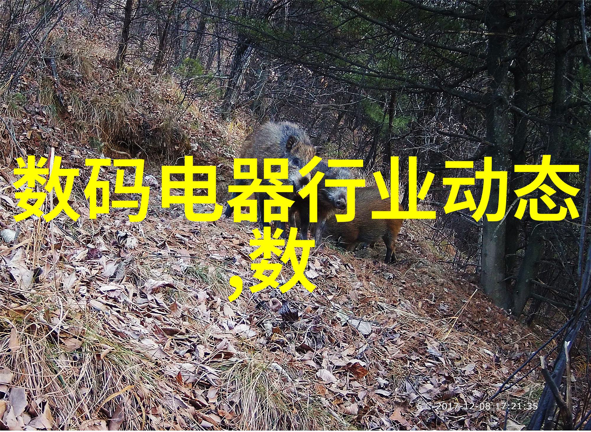 离心萃取机工作原理探究分离技术的精髓