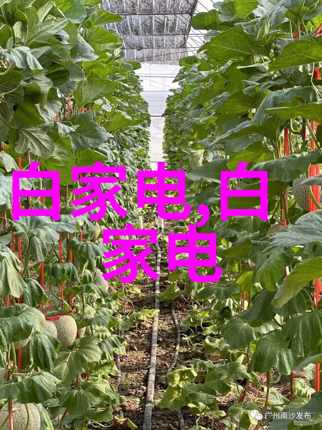 邯郸职业技术学院培育未来技能者引领时代发展
