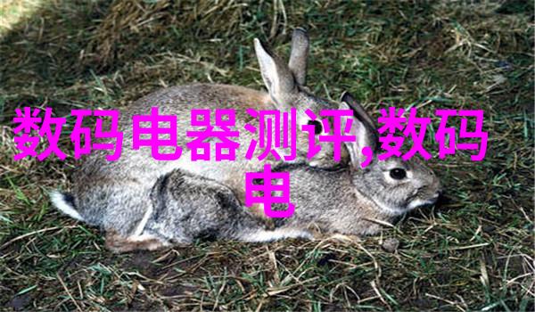 新人心理测评职场适应的智慧探索