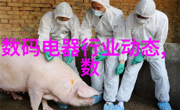 芯片设计师的永恒旅程从创新到传奇