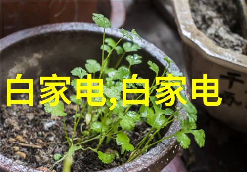 合作基本敲定 小米明年或用LG OLED屏幕