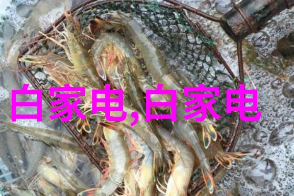 泥瓦木工俺的劳动日记
