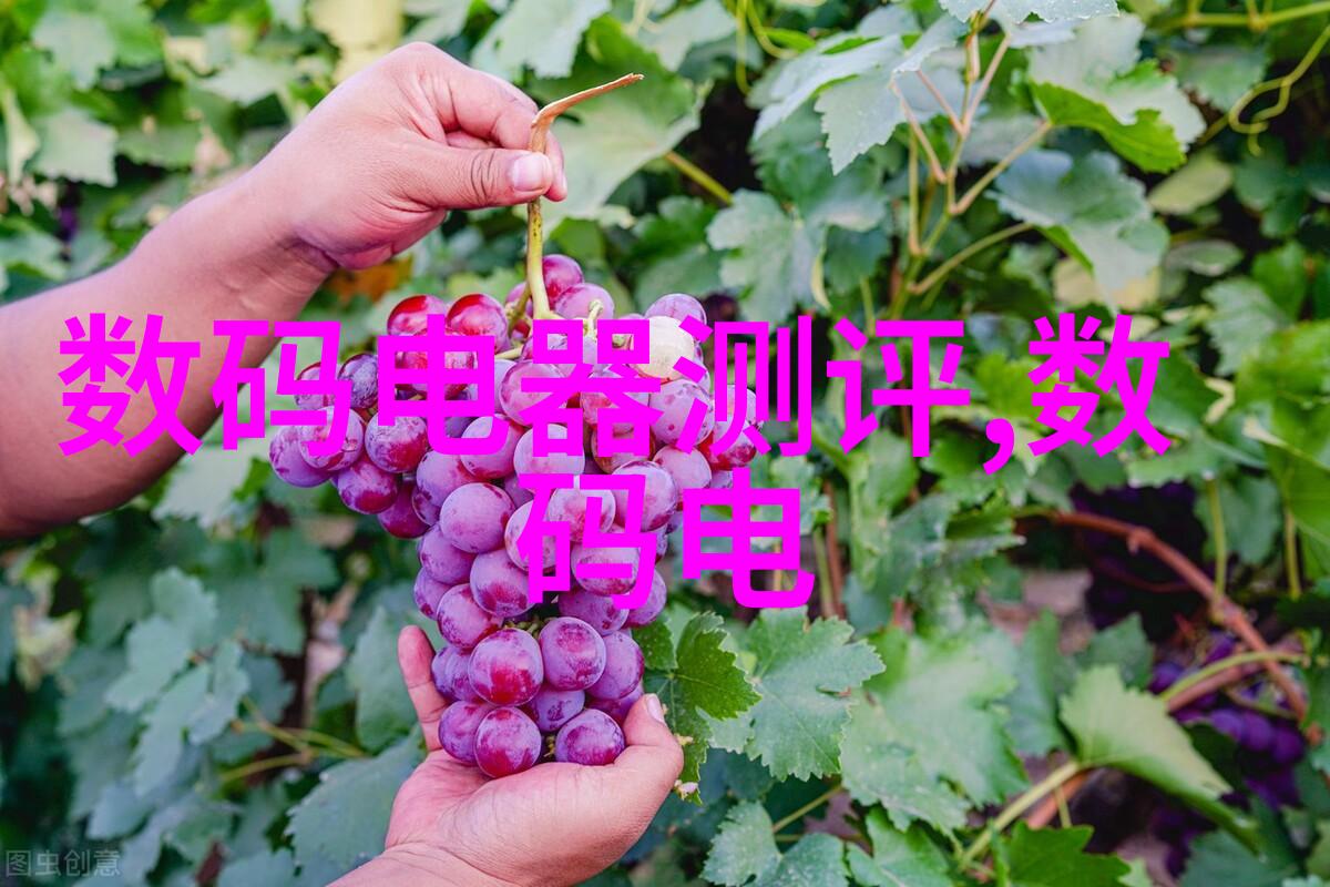 家居装饰-最新客厅装修效果图片大全创意空间的灵感源泉