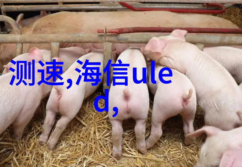 废旧之城回收者的诅咒