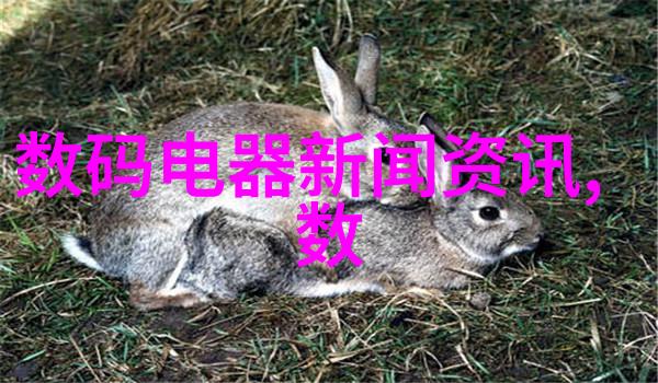 数据保护先锋保驾护航网的发展历程