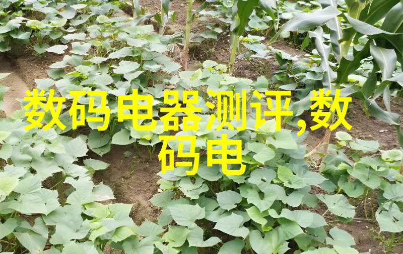 精纹中国细墨工匠的华章