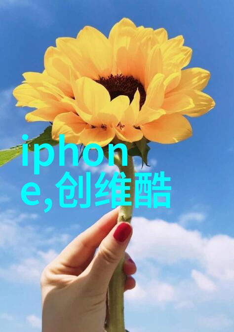 金属纹理不锈钢丝网的艺术与实用之美
