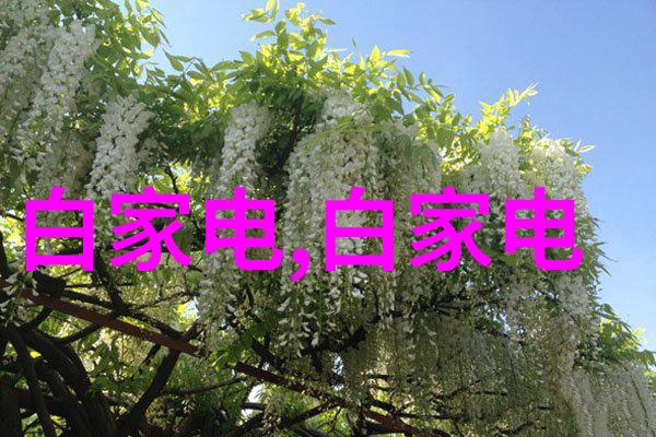智能表和机械表哪个更精致智能手表与机械手表的比较