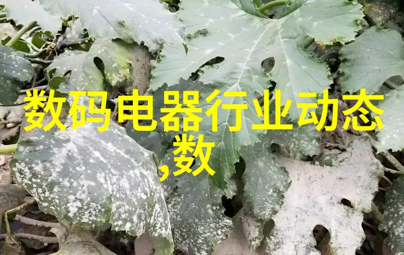 东方财富股票分红派息政策解析对比不同行业公司效益