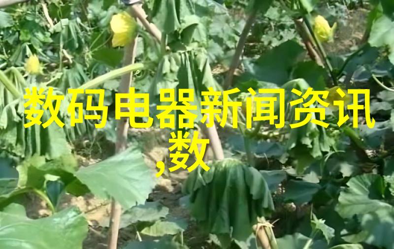 电阻的守护者绝缘电阻表的秘密之力