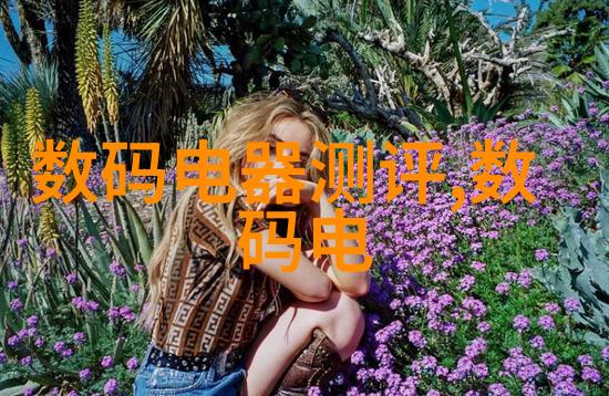 机密文件未解之谜的反应器图纸