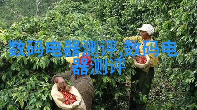 工业 chic 风格厨房