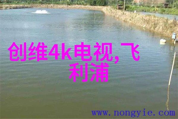 逆袭蓝图揭秘建筑设计规范的革命性变革