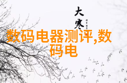 丸剂机械的精细世界揭秘药品生产中的关键设备与技术