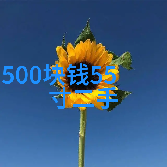 如何正确安装和使用化工温湿度仪器