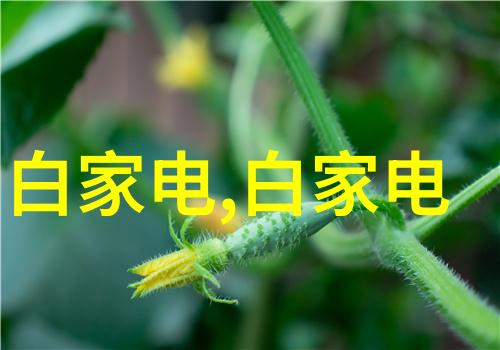 未来可穿戴设备智能纹理与生态互动的新纪元