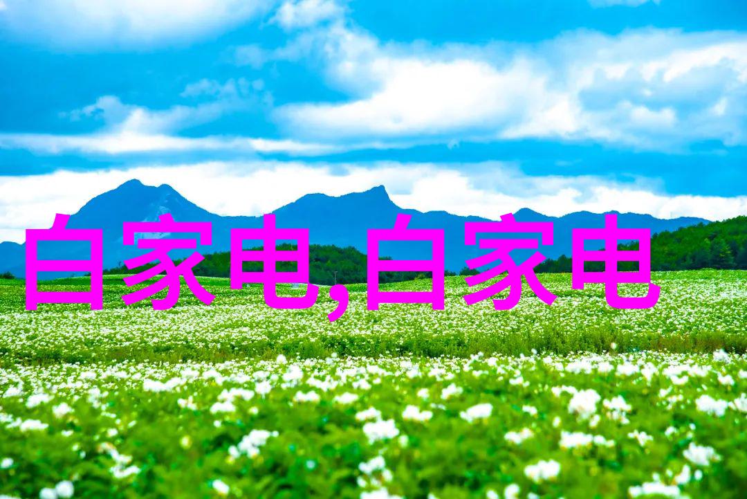 明清文学之巅大清第一作家的艺术探索