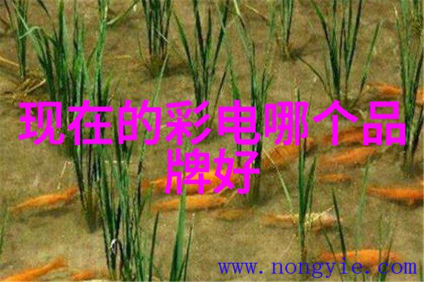 仪器仪表的精确检测保证质量的关键