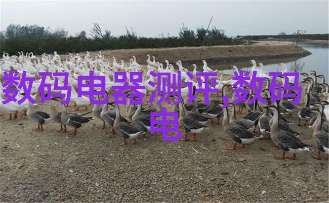 全国等保测评公司-全面提升全国等保测评公司的质量保障与创新发展