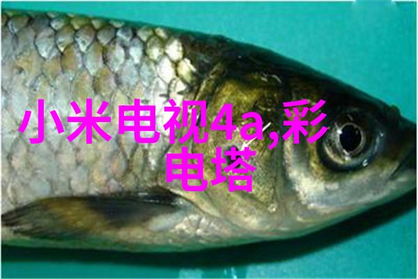 如何根据厨房空间选择正确尺寸的搅拌釜