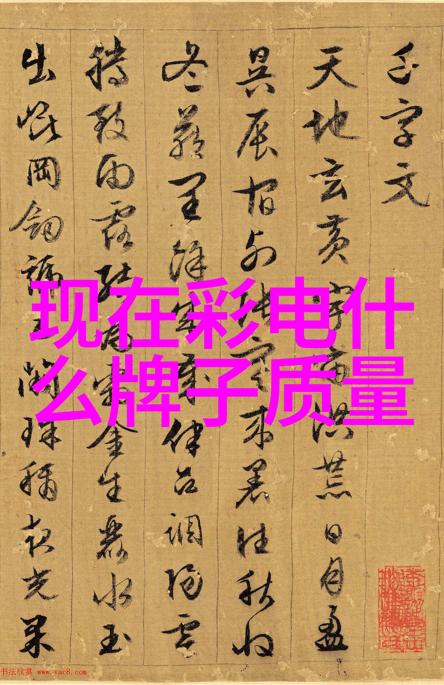 探秘微距世界细腻的奇迹与未解之谜