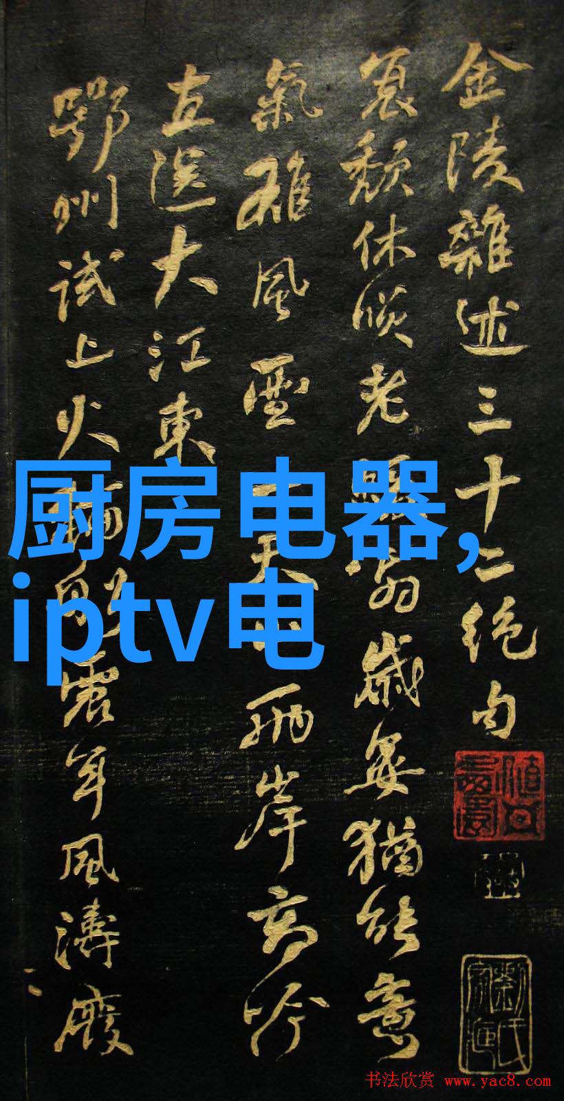 中国科技革命从大跃进到人工智能新纪元
