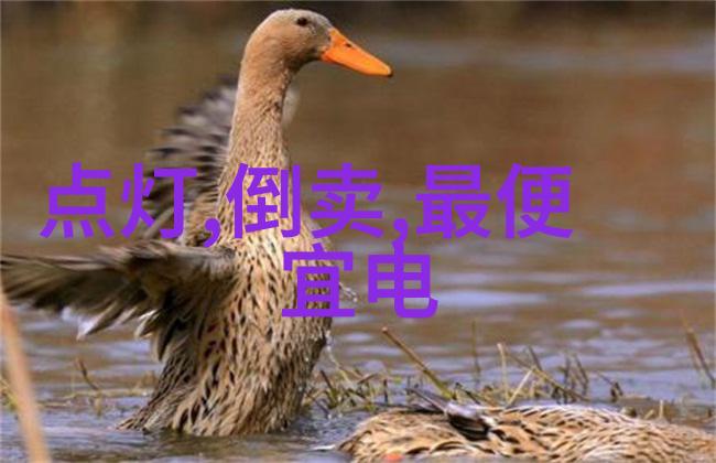 碎光闪现小米新纪元的视频赞歌