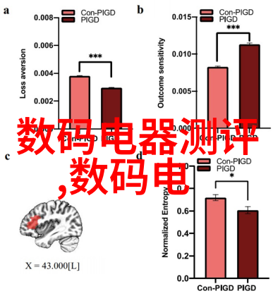 静谧的旋转带式干燥机的节奏与沉默