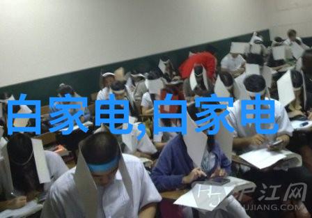 家电-白家电时代引领环保与智能化新生活