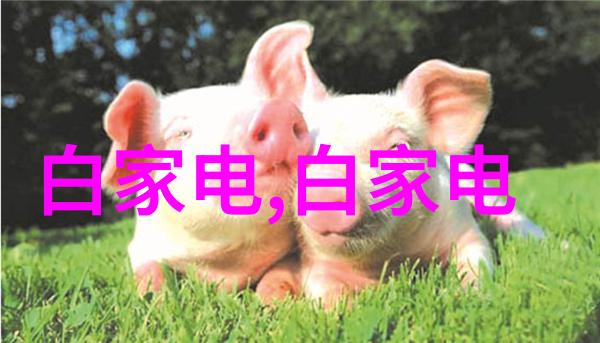 儿童房装修我的宝宝的梦屋如何让孩子房间变成魔法王国