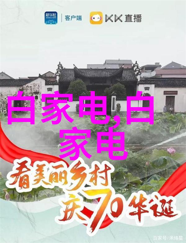固定流化床反应器化学工艺中的效率与稳定性之选