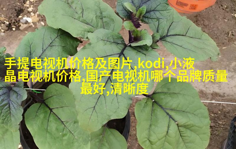 为什么要看摄影师的个人网站？
