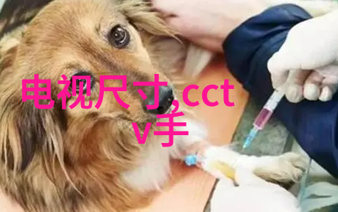 主题我来给你看CPU排行榜2023年天梯图吧