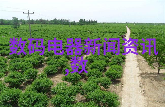 合肥职业技术学院培育未来技能型人才的桥梁与枢纽