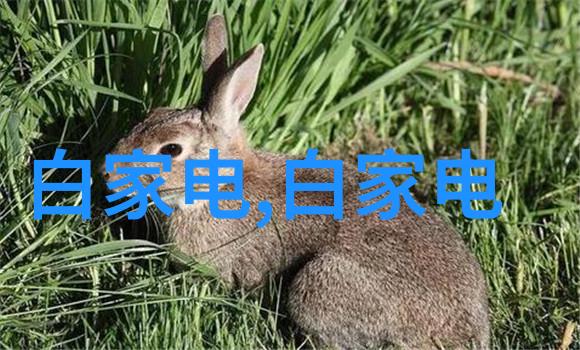 智能装备与系统专业大学生 - 未来工程师智能装备与系统专业大学生的创新征程
