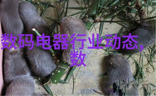 国际关系紧张美国与盟友就贸易政策达成共识
