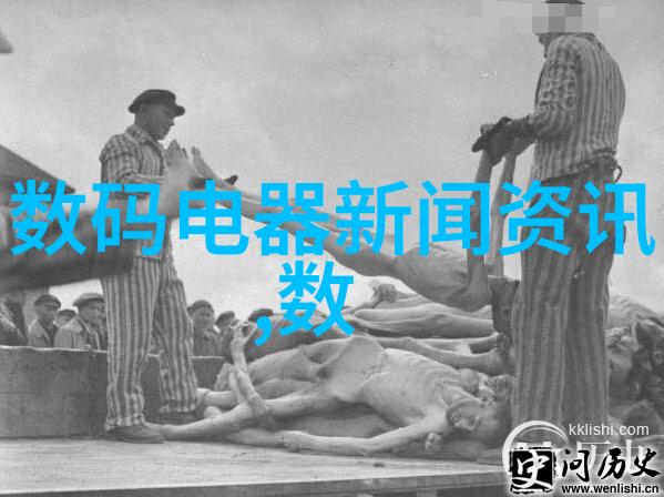 寻秦记揭秘古代隐世与现代追踪的奇幻历险